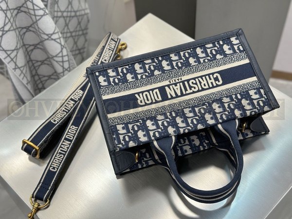 디올 오블리크 북 토트 이스트 웨스트 스트랩백