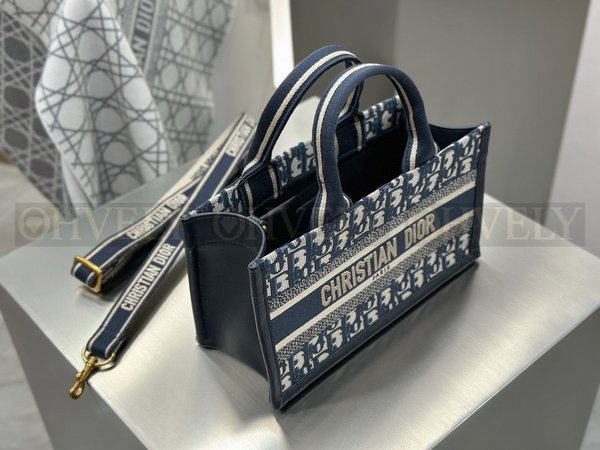 디올 오블리크 북 토트 이스트 웨스트 스트랩백