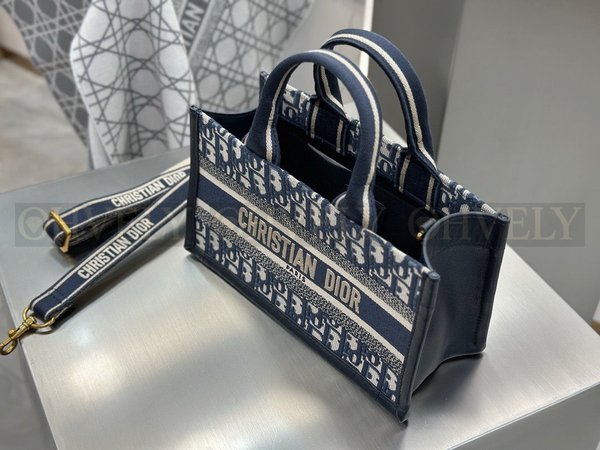 디올 오블리크 북 토트 이스트 웨스트 스트랩백