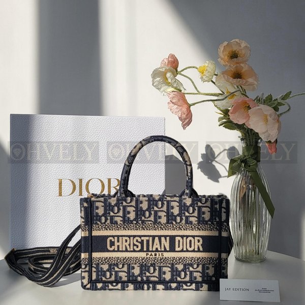 디올 오블리크 북 토트 미니 스트랩백