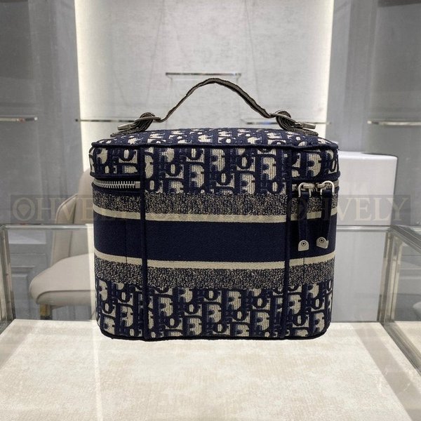 디올 오블리크 베니티백