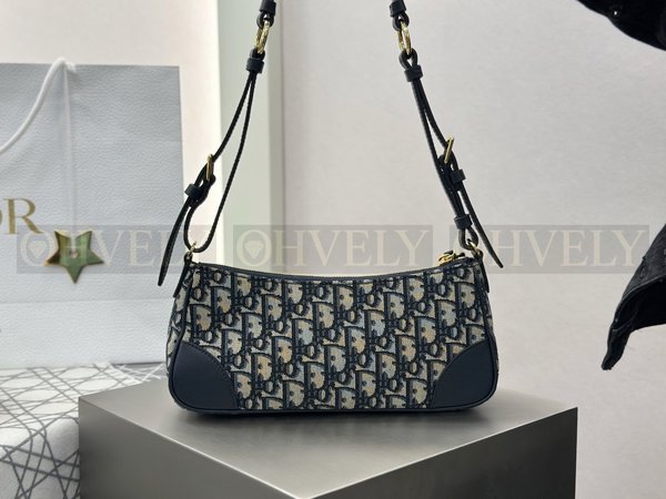 디올 몽테인 원더러스트 미니백