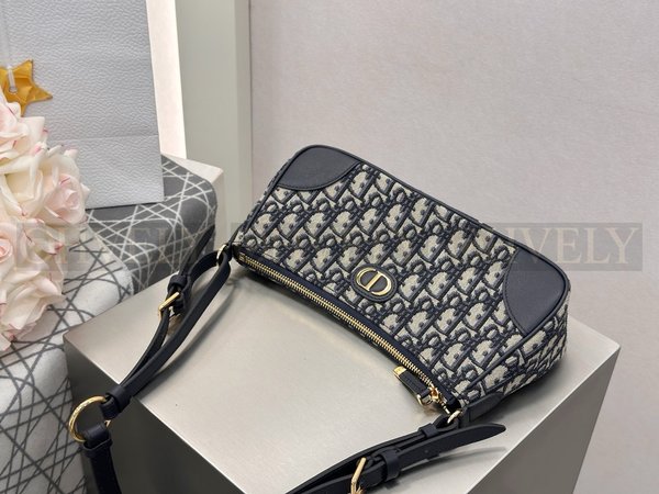 디올 몽테인 원더러스트 미니백