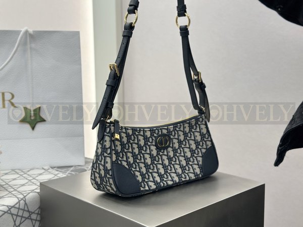 디올 몽테인 원더러스트 미니백