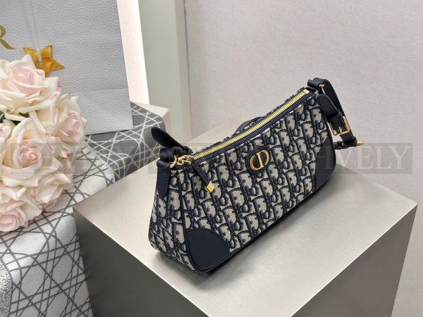 디올 몽테인 원더러스트 미니백