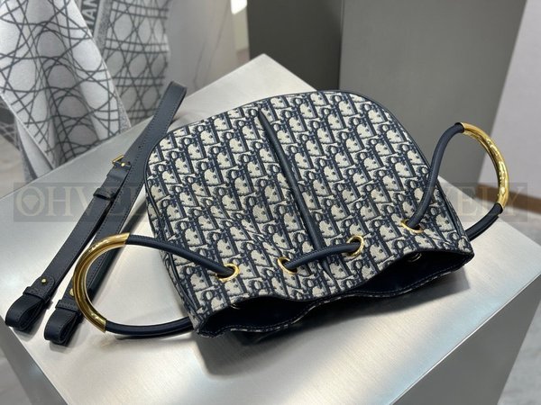 디올 오블리크 노리타 숄더백 미디움