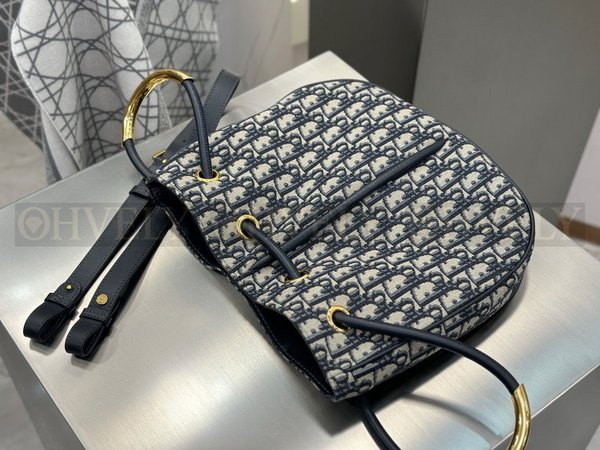 디올 오블리크 노리타 숄더백 미디움