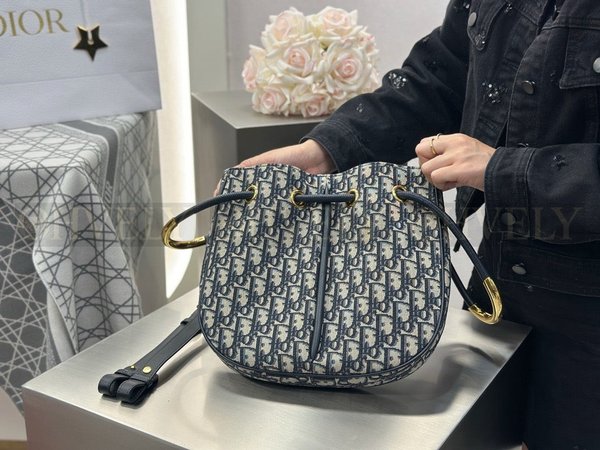 디올 오블리크 노리타 숄더백 미디움