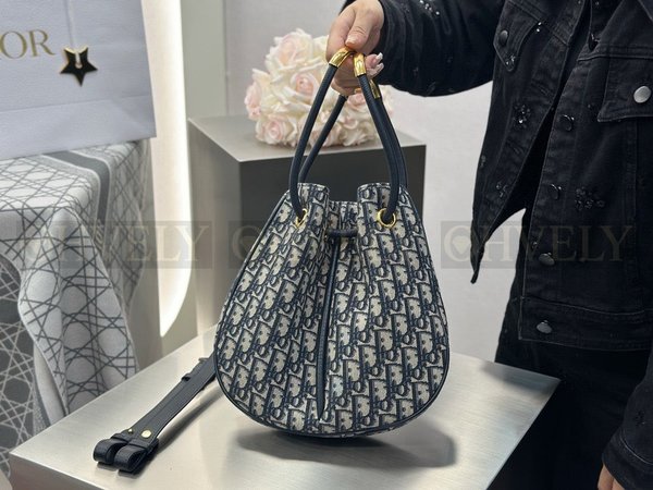 디올 오블리크 노리타 숄더백 미디움