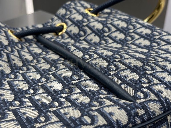 디올 오블리크 노리타 숄더백 미디움