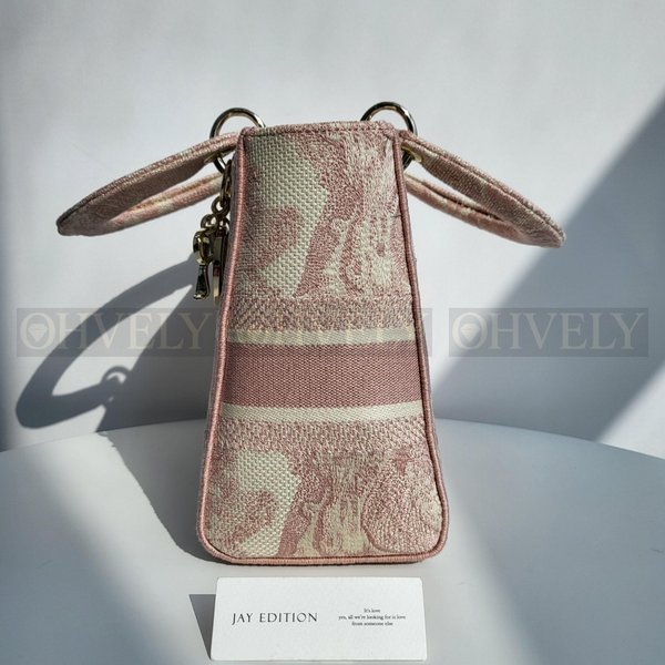 디올 레이디백 미디움 트왈 드 주이