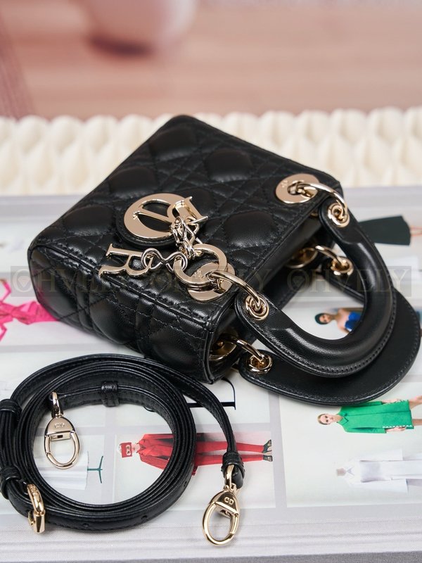 디올 레이디백 마이크로