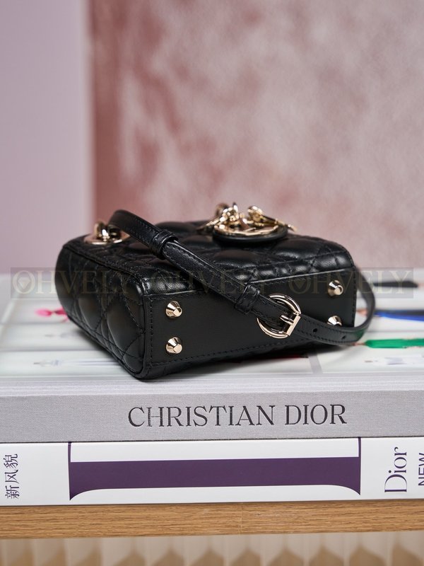 디올 레이디백 마이크로