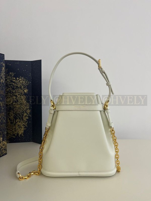 디올 Cest 미디움백