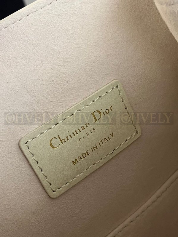 디올 Cest 미디움백