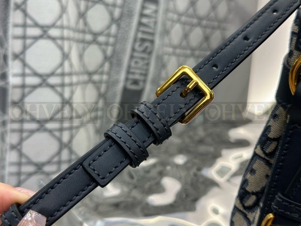 디올 C'est 오블리크 버킷백 스몰