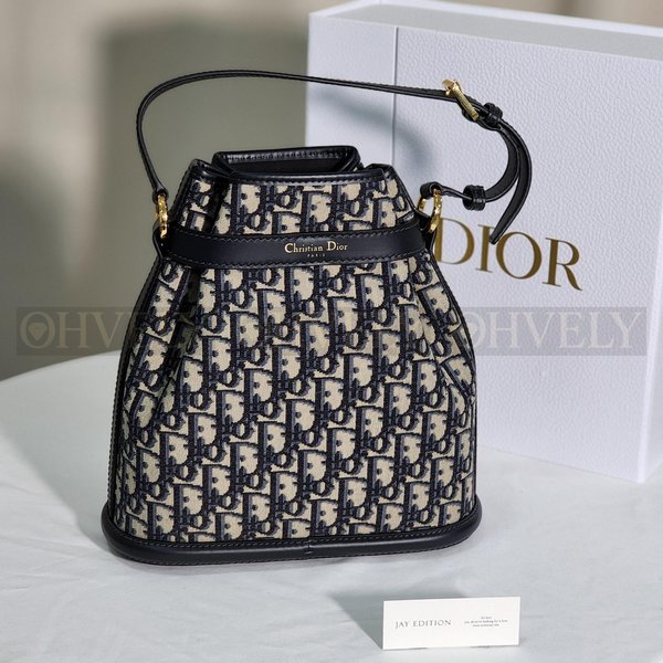 디올 C'est 오블리크 버킷백 미디움