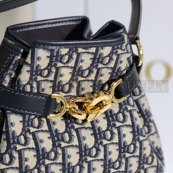 디올 C'est 오블리크 버킷백 미디움