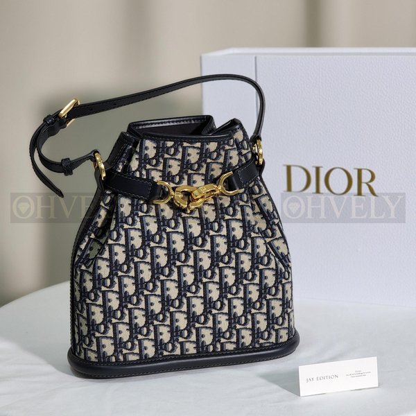 디올 C'est 오블리크 버킷백 미디움