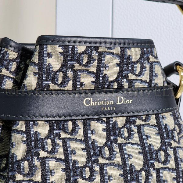 디올 C'est 오블리크 버킷백 미디움