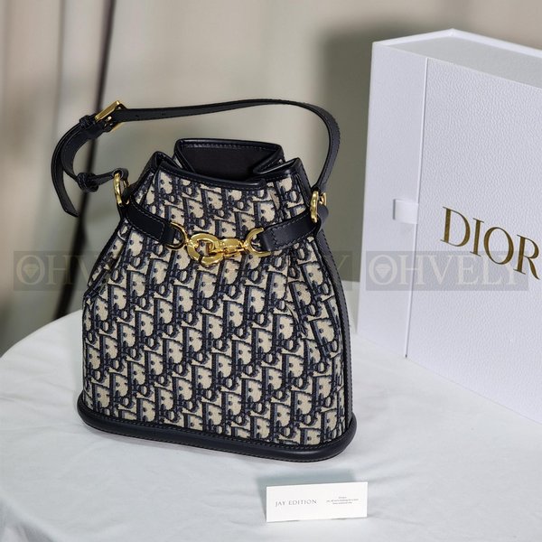 디올 C'est 오블리크 버킷백 미디움