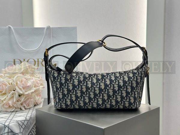 디올 오블리크 디저니백 미디움