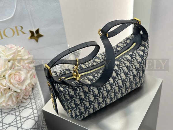 디올 오블리크 디저니백 미디움