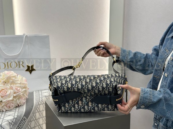 디올 오블리크 디저니백 미디움