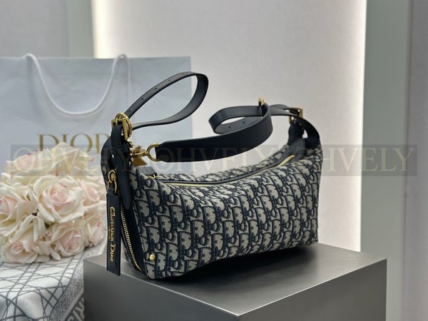 디올 오블리크 디저니백 미디움