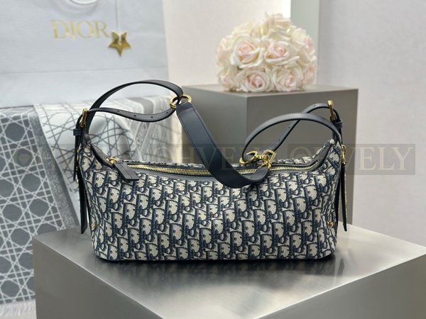 디올 오블리크 디저니백 라지