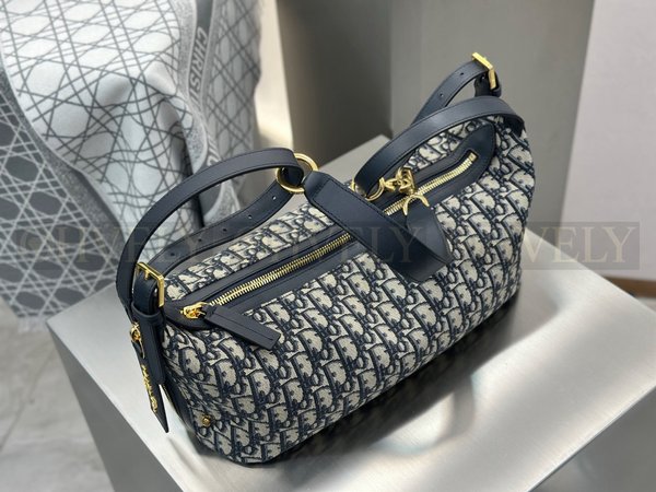 디올 오블리크 디저니백 라지