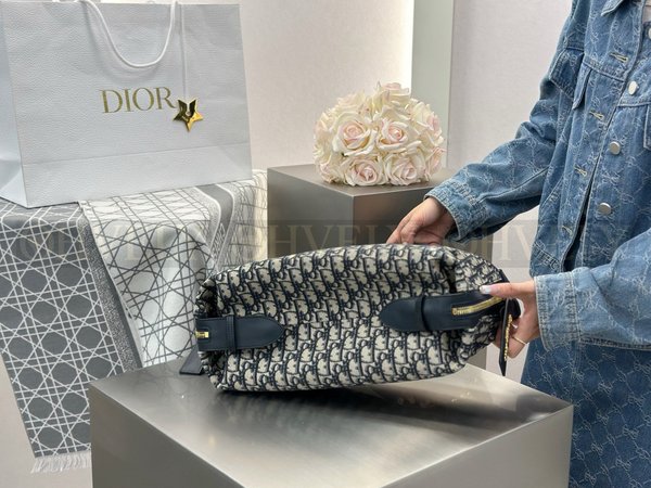 디올 오블리크 디저니백 라지