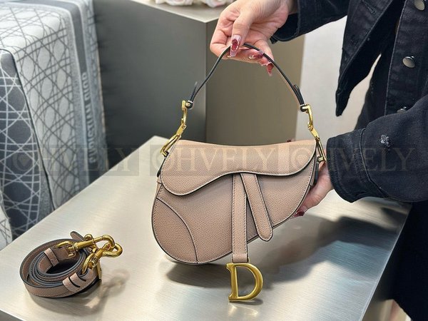 디올 새들 스트랩백 그레인 미니