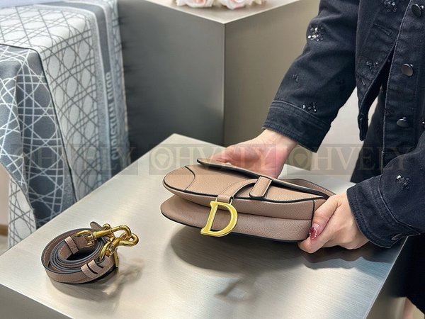 디올 새들 스트랩백 그레인 미니