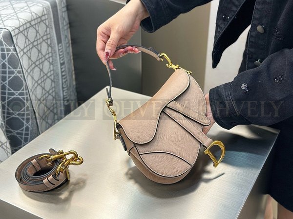 디올 새들 스트랩백 그레인 미니