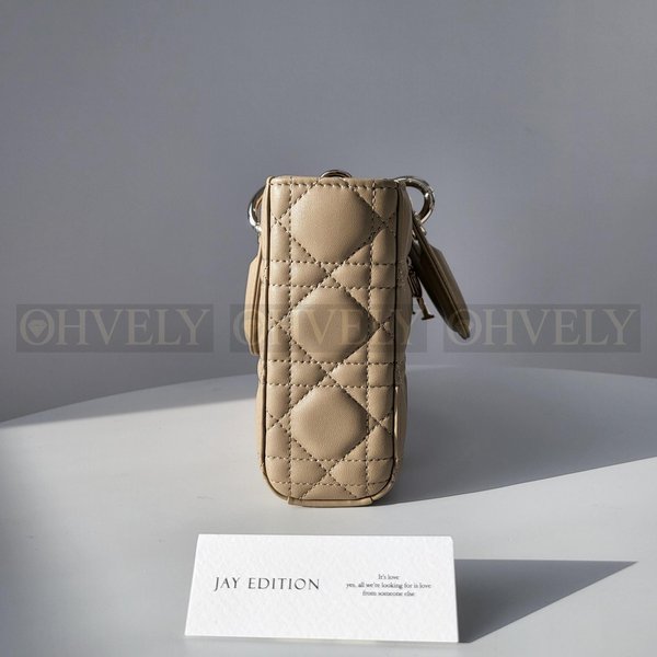 디올 디 조이백 미디움