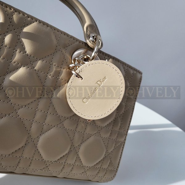 디올 디 조이백 미디움