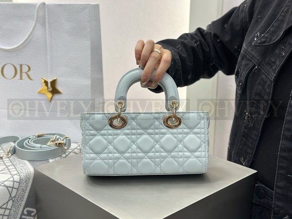 디올 디 조이백 스몰