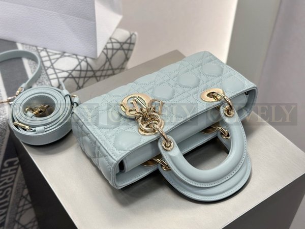 디올 디 조이백 스몰