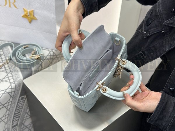 디올 디 조이백 스몰