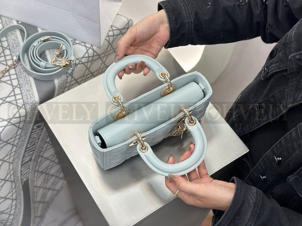 디올 디 조이백 스몰