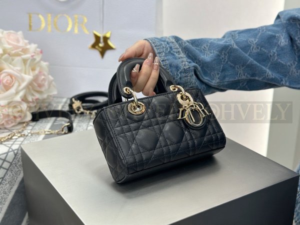 디올 디 조이백 미니