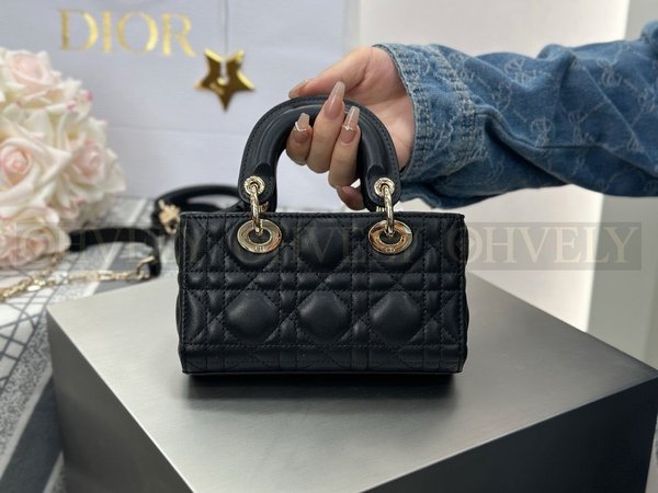 디올 디 조이백 미니