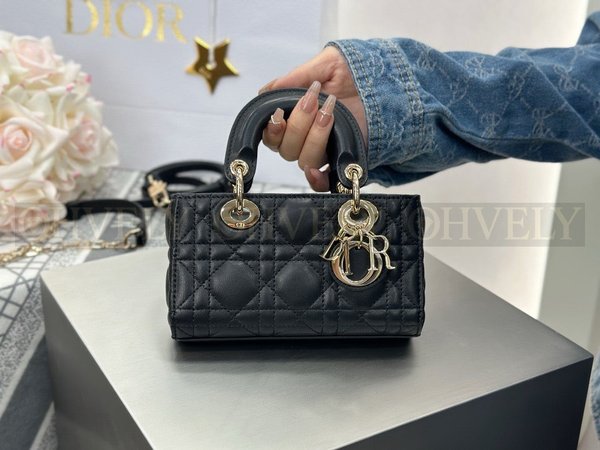 디올 디 조이백 미니