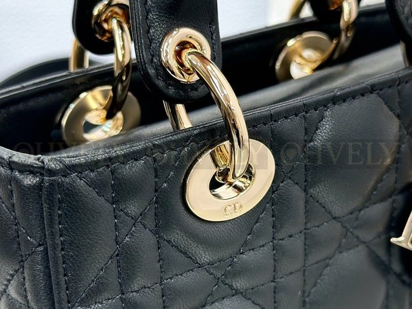 디올 디 조이백 미니