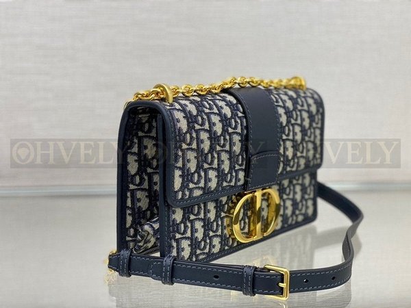 디올 몽테인 오블리크 체인백