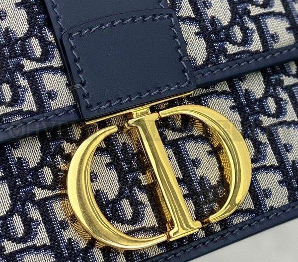 디올 몽테인 오블리크 체인백