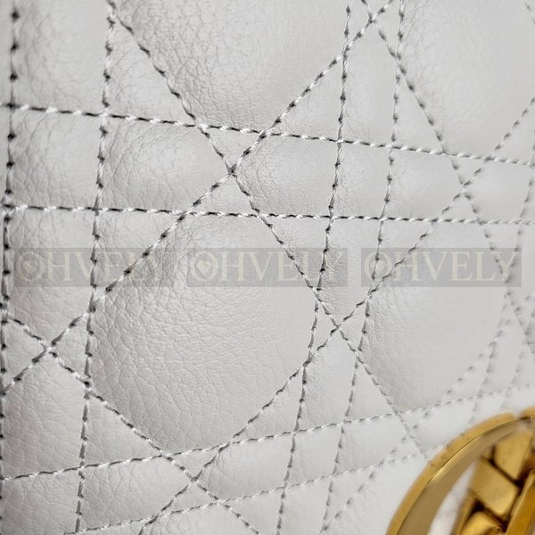 디올 카로백 미디움