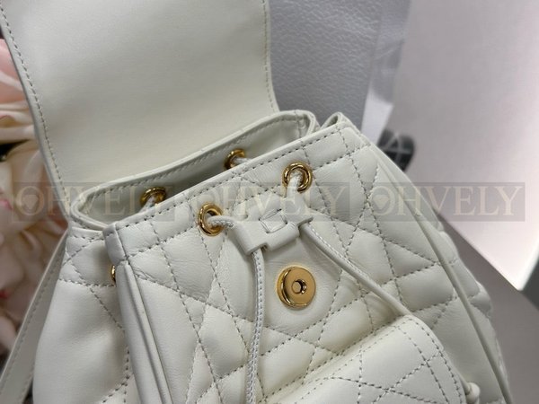 디올 카로 스몰 백팩