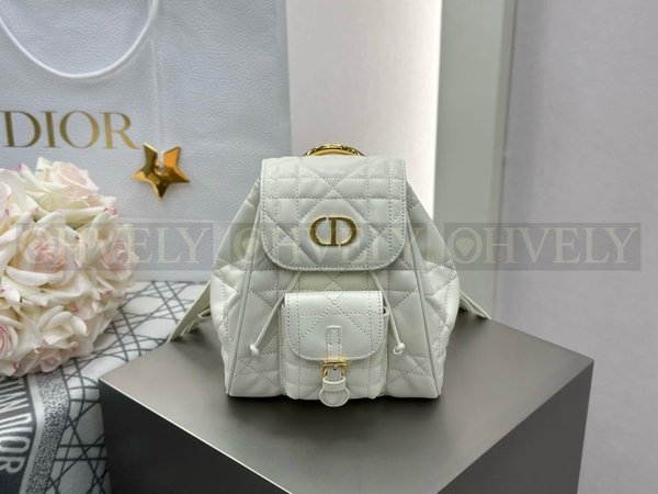 디올 카로 스몰 백팩